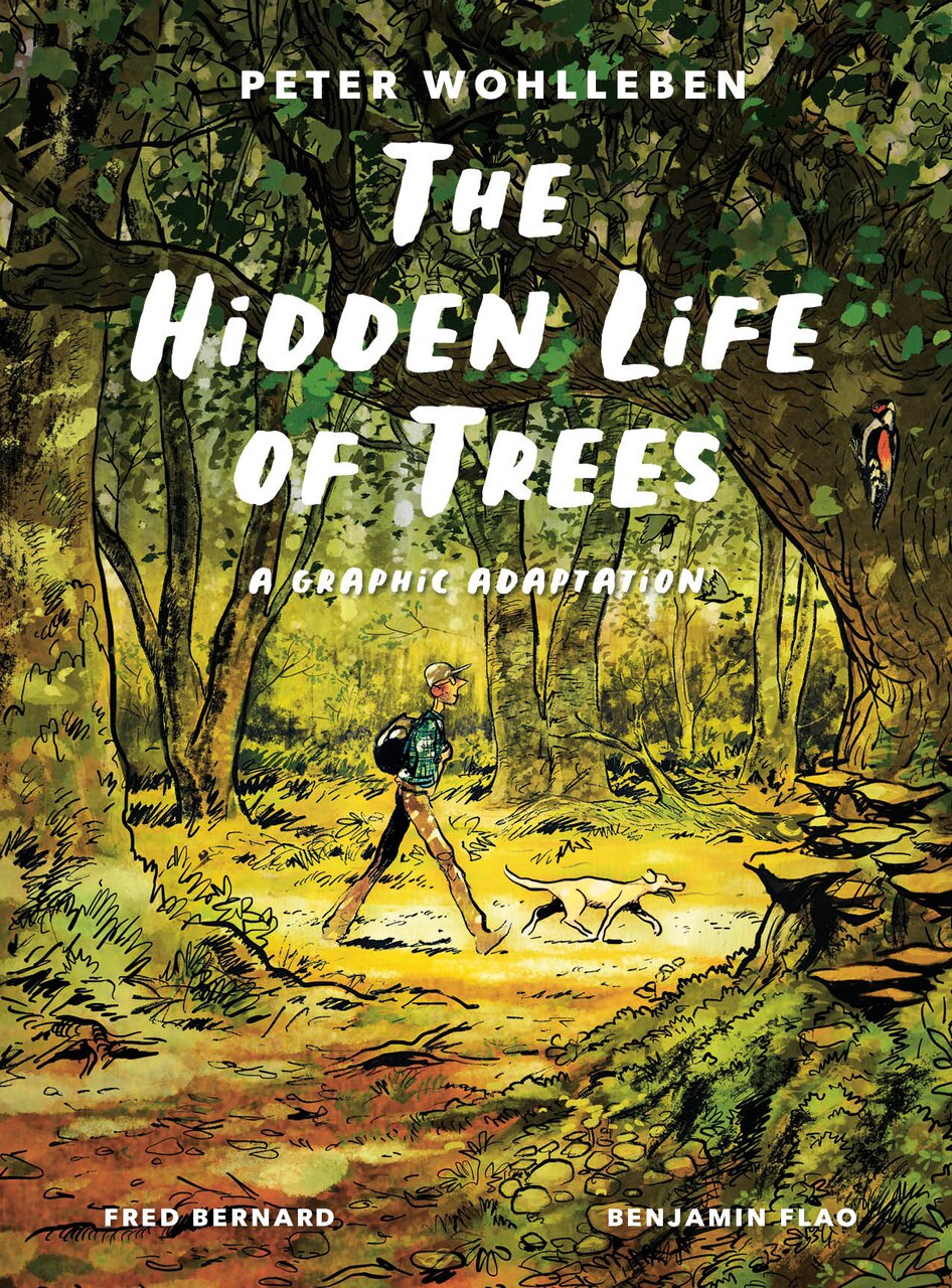 The Hidden Life of Trees: What They Feel, How They Communicate