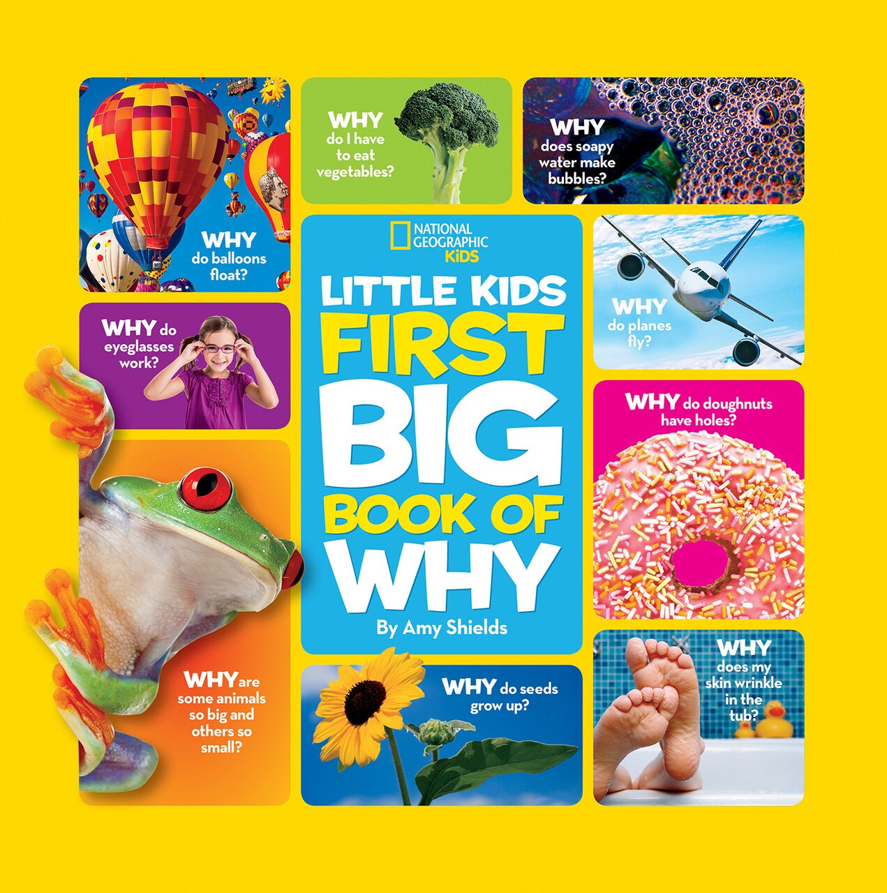 National Geographic Little Kids First Big Book of Why: Questions