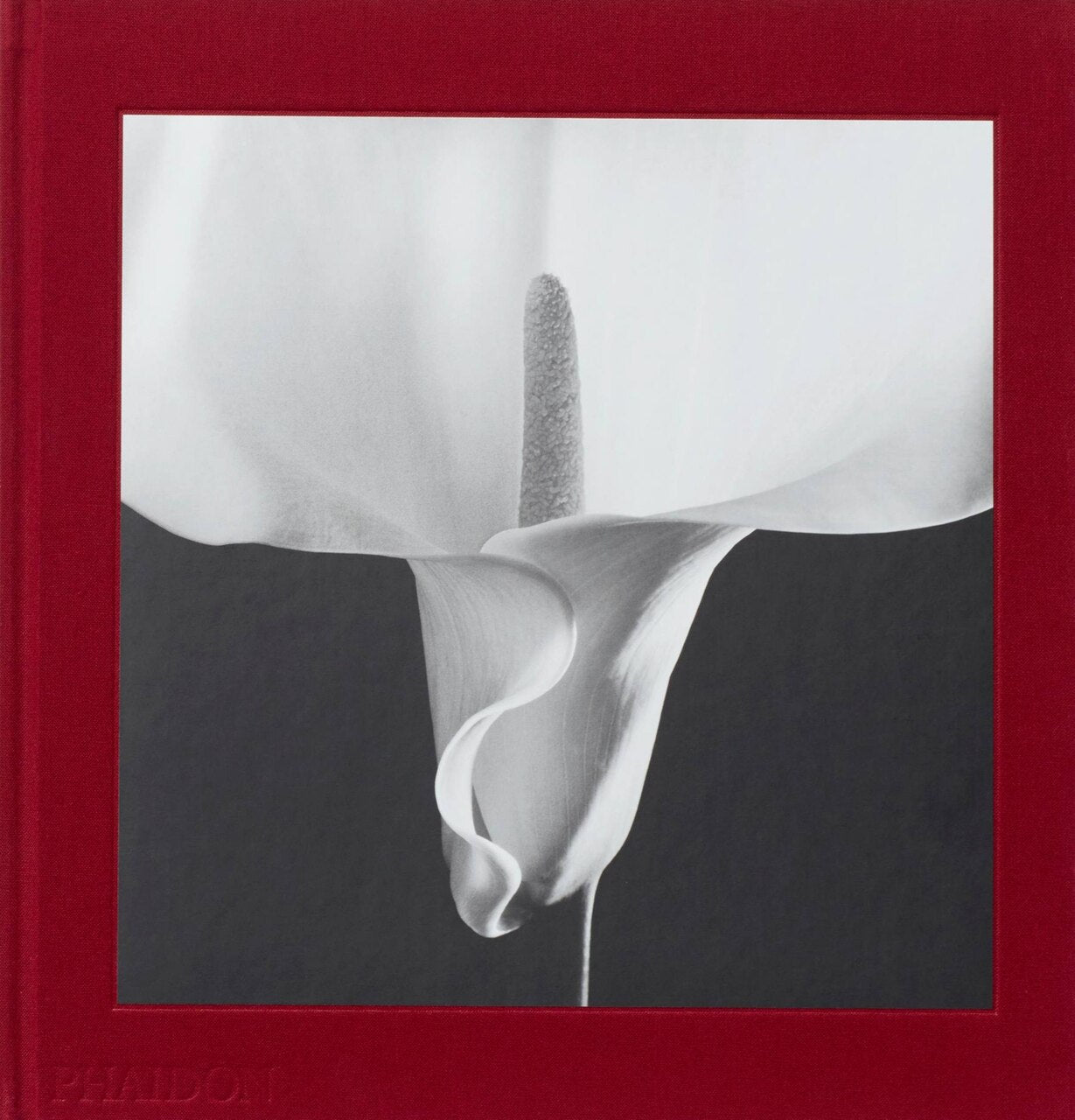 Mapplethorpe Flora: The Complete Flowers (Hardcover) | Indigo