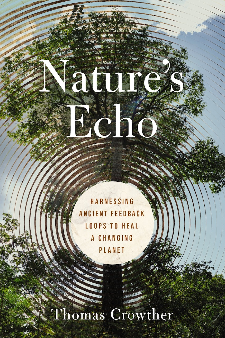 Nature's Echo: Harnessing Ancient Feedback Loops to Heal a