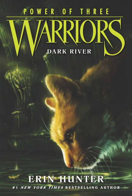 Warriors: Power of Three #2: Dark River by Erin Hunter, (Paperback