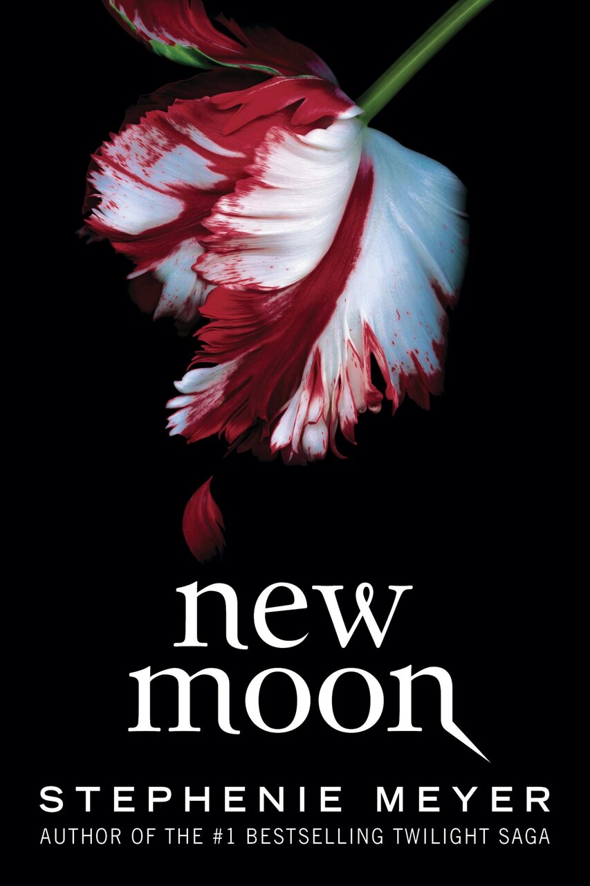 New Moon by Stephenie Meyer, (Hardcover (2026)) | Indigo