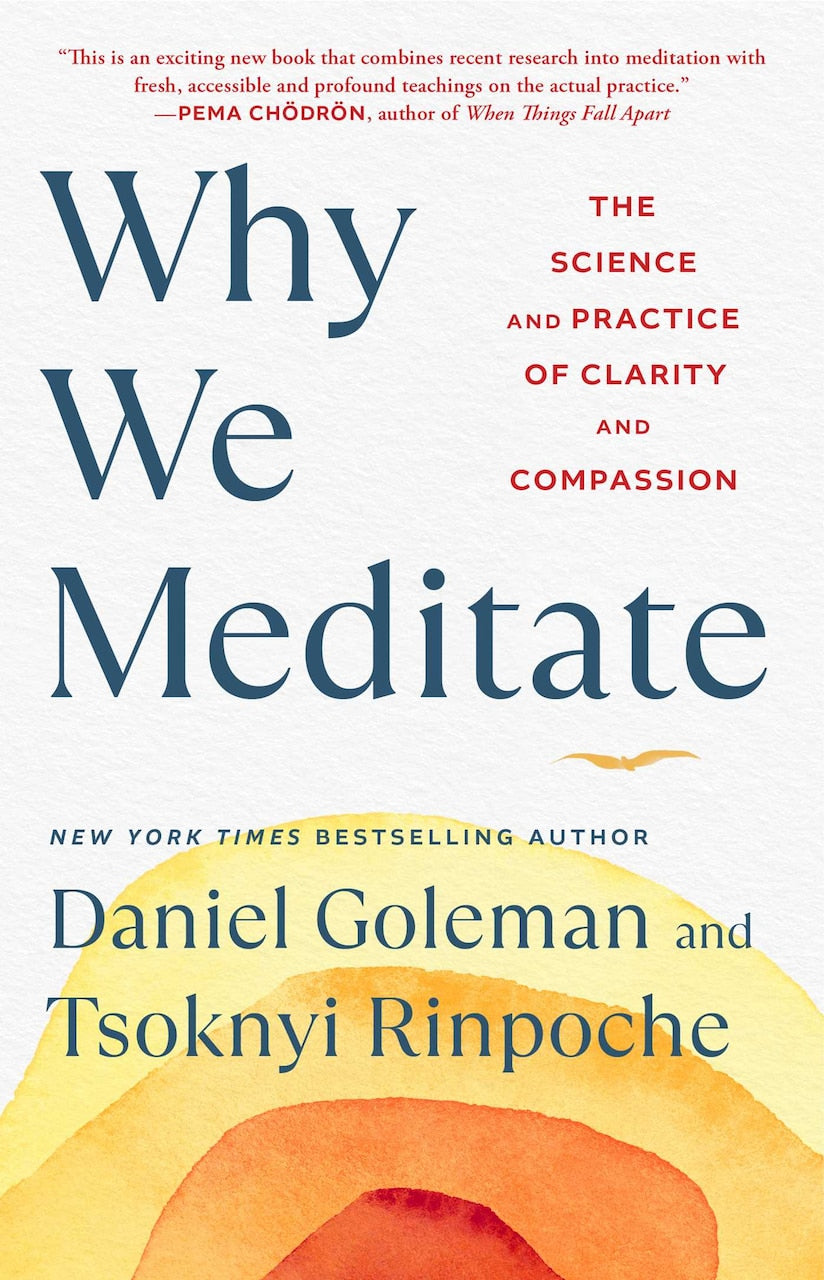 Why We Meditate: The Science and Practice of Clarity and