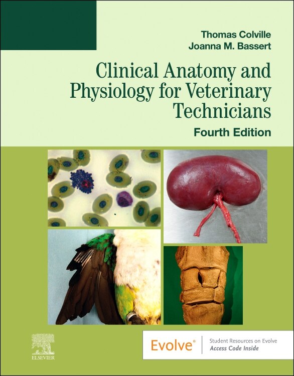 Clinical Anatomy and Physiology for Veterinary Technicians by