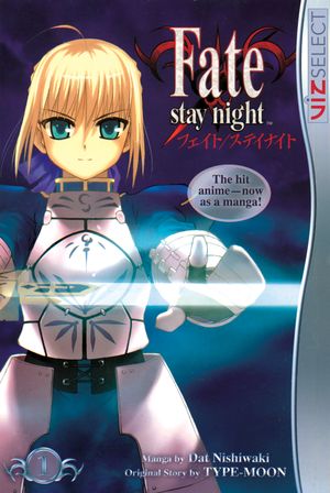 Fate/stay night, Vol. 1 (Kobo eBook) | Indigo