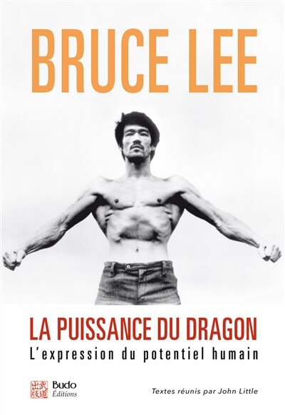 La puissance du dragon: l'expression du potentiel humain - image 1