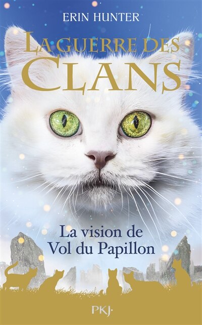 La vision de Vol du Papillon - image 1