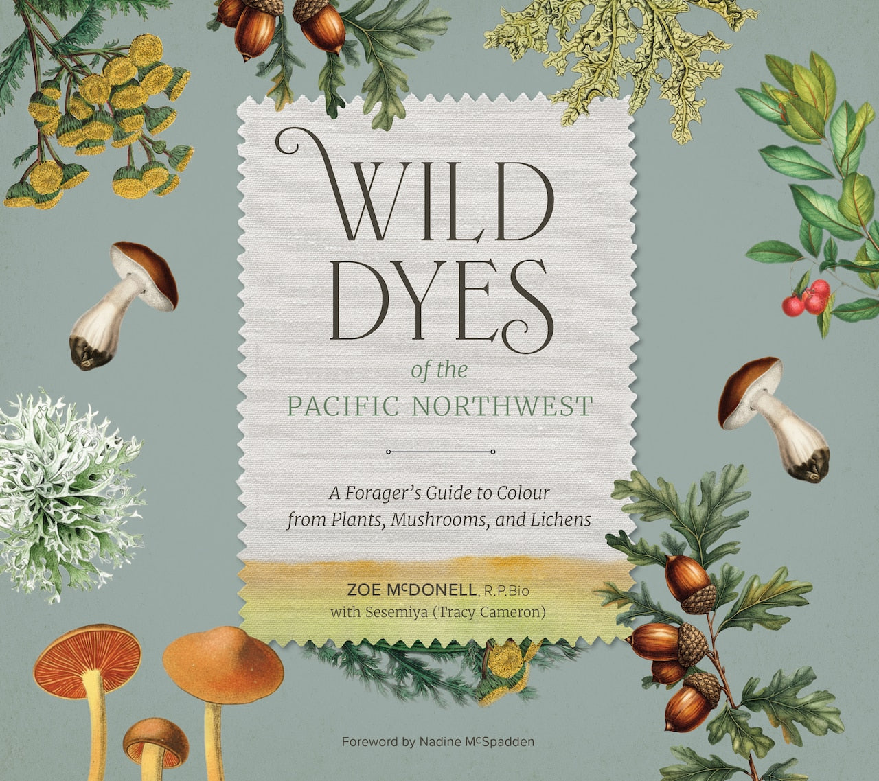 Front cover
