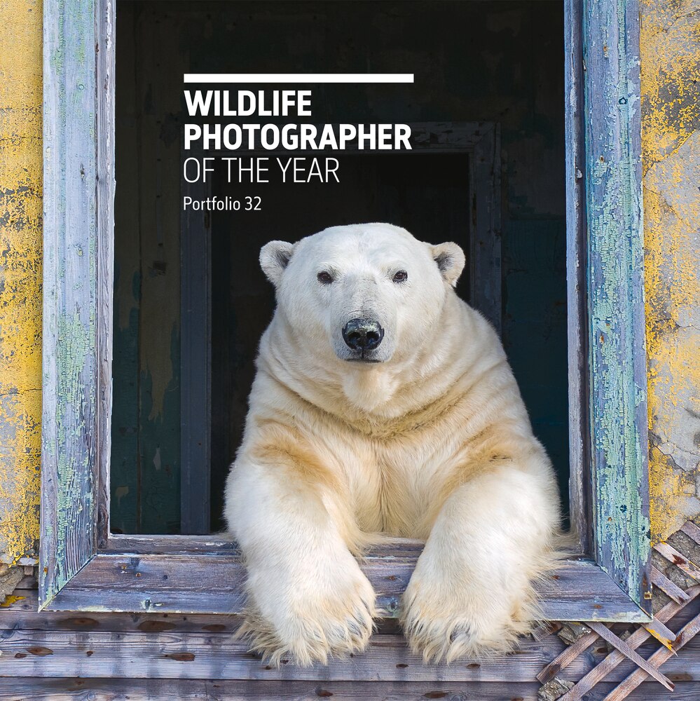 写真集 Wildlife Photographer of the Year 6冊 Wildlife Photographer of the Year: Portfolio 32 (Hardcover) | Indigo