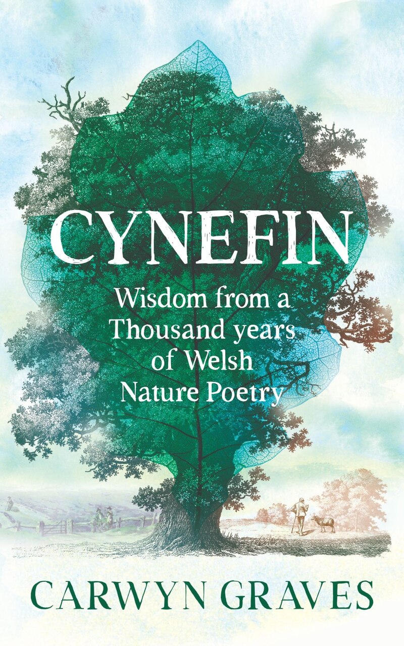 Cynefin: Wisdom from a Thousand Years of Welsh Nature Poetry - image 1