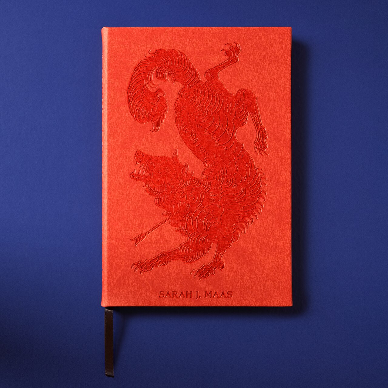 Journal, A Court of Thorns and Roses - image 1