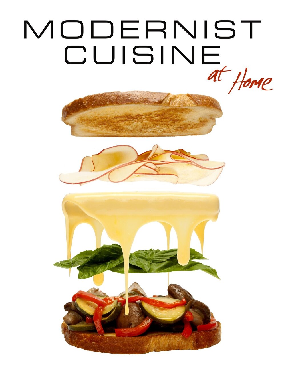 Modernist Cuisine At Home by Nathan Myhrvold, (Hardcover) | Indigo