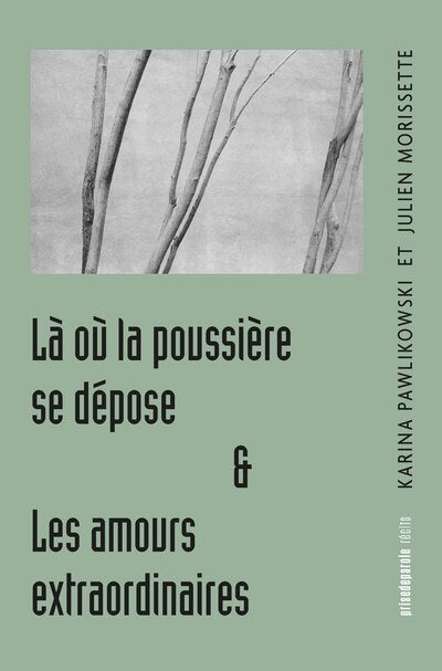 Là où la poussière se dépose & Les amours extraordinaires - image 1