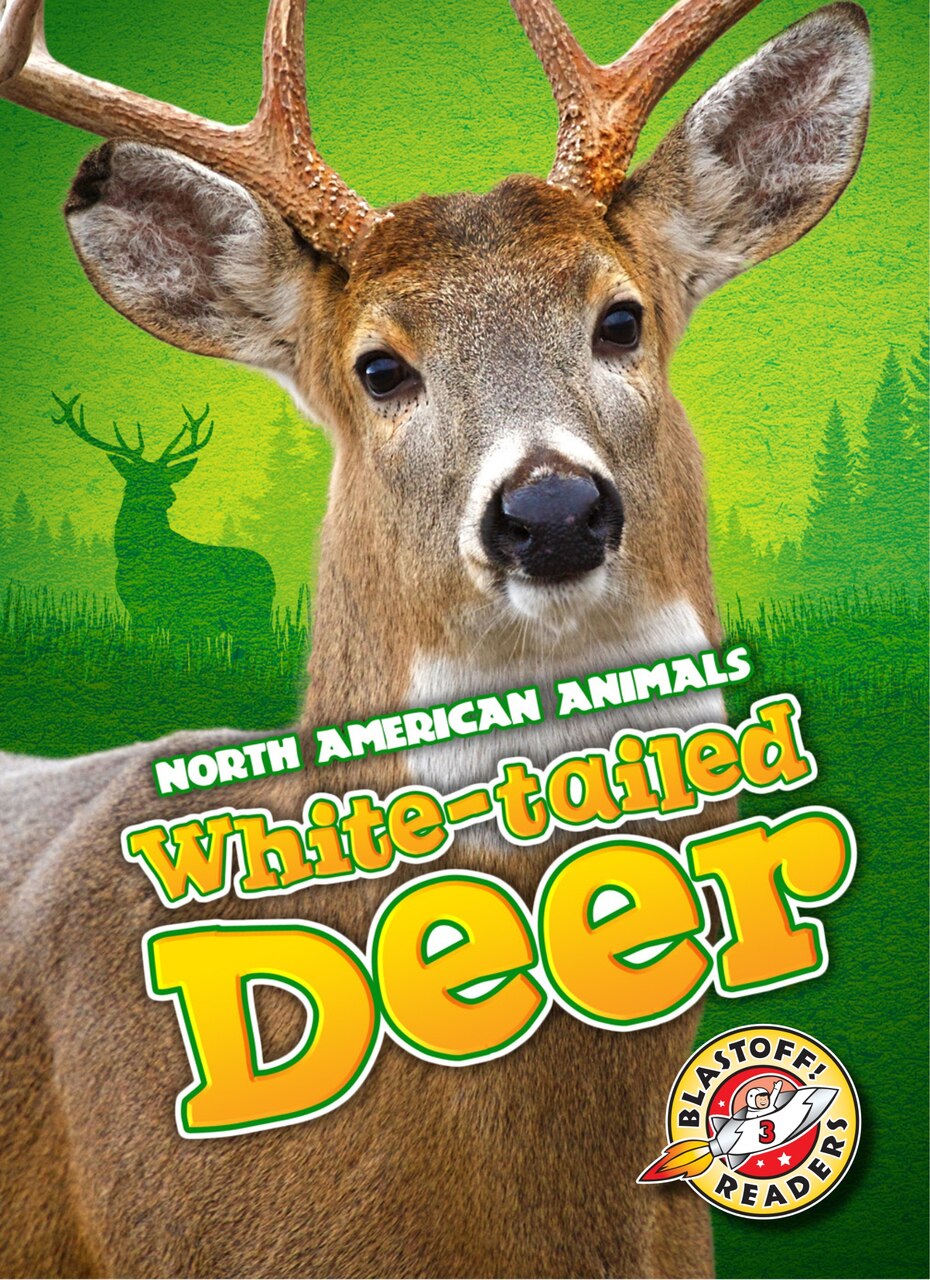 White-tailed Deer - image 1
