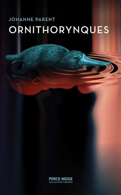Ornithorynques - image 1