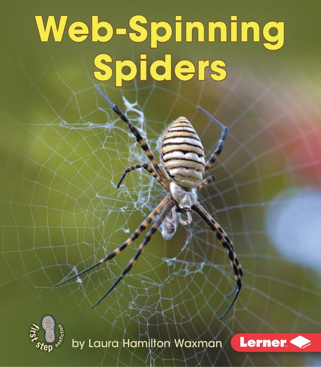 Web-Spinning Spiders - image 1