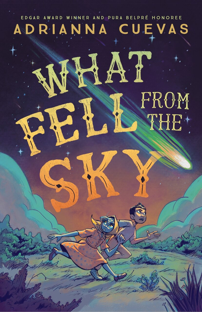 What Fell from the Sky - image 1