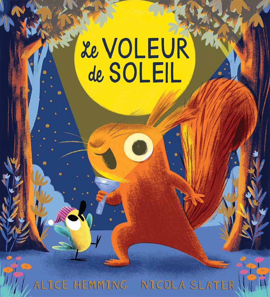 Le voleur de soleil - image 1