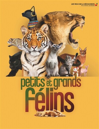 Petits et grands félins - image 1