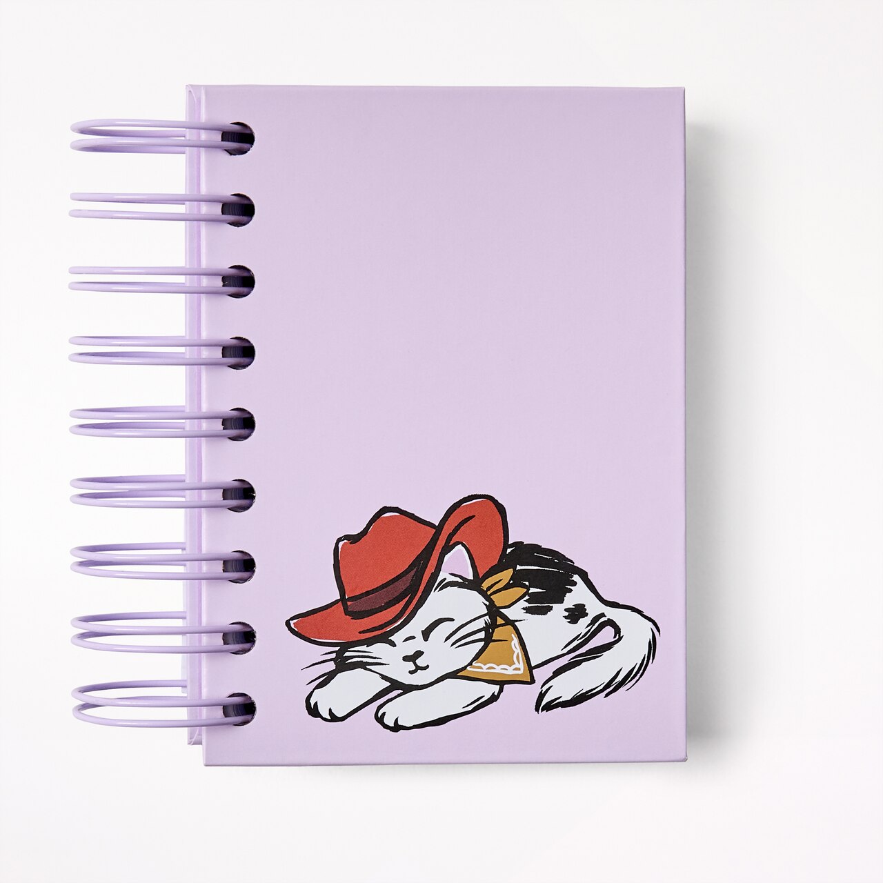 Spiral Journal, Napping Cat - image 1