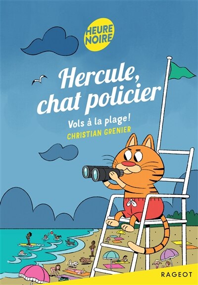 Vols à la plage ! - image 1