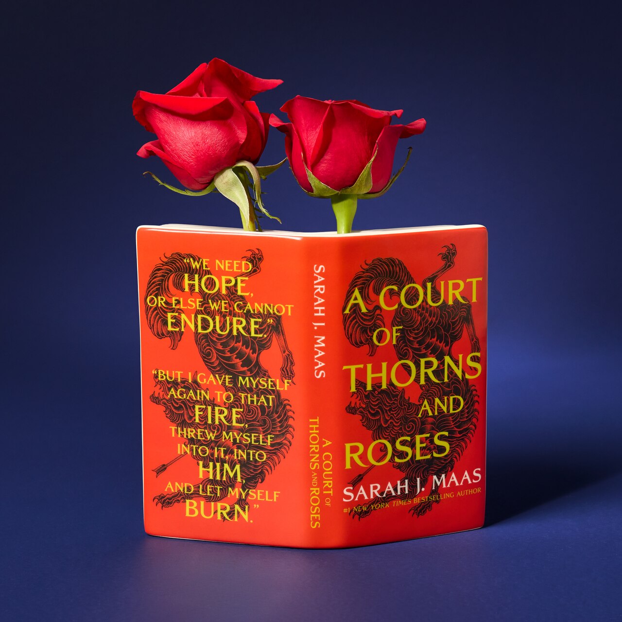 Open Book Vase, A Court of Thorns and Roses - image 1