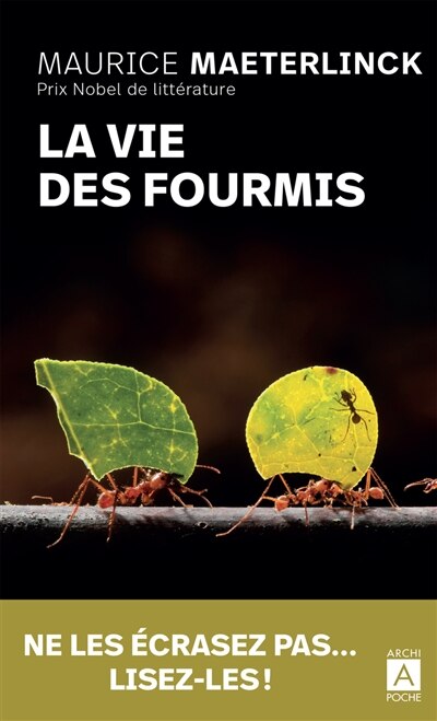 La vie des fourmis - image 1