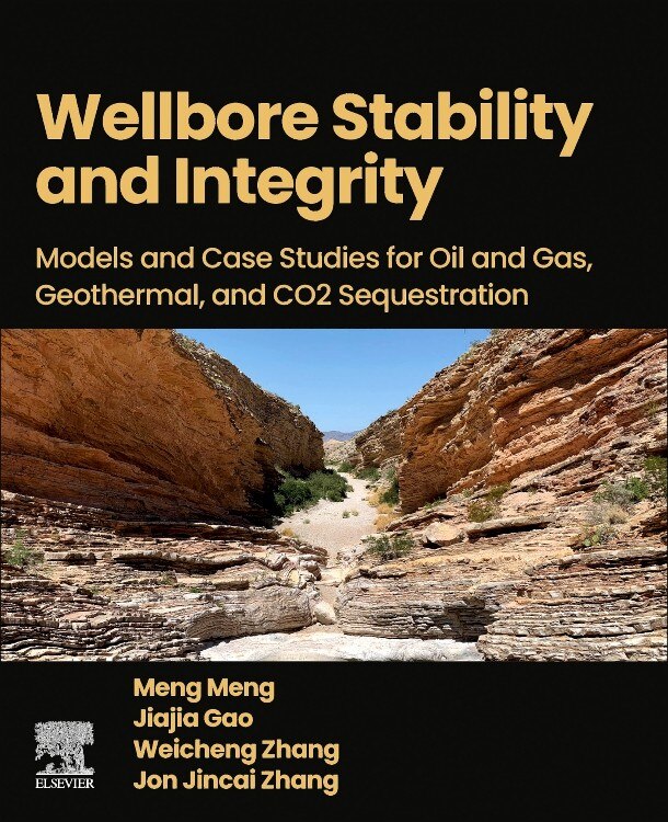 Wellbore Stability and Integrity: Models and Case Studies for Oil and Gas, Geothermal, and CO2 Sequestration - image 1