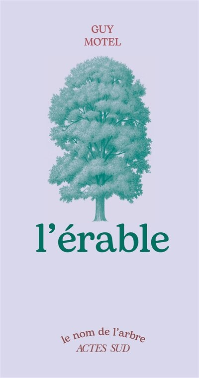 L' érable - image 1
