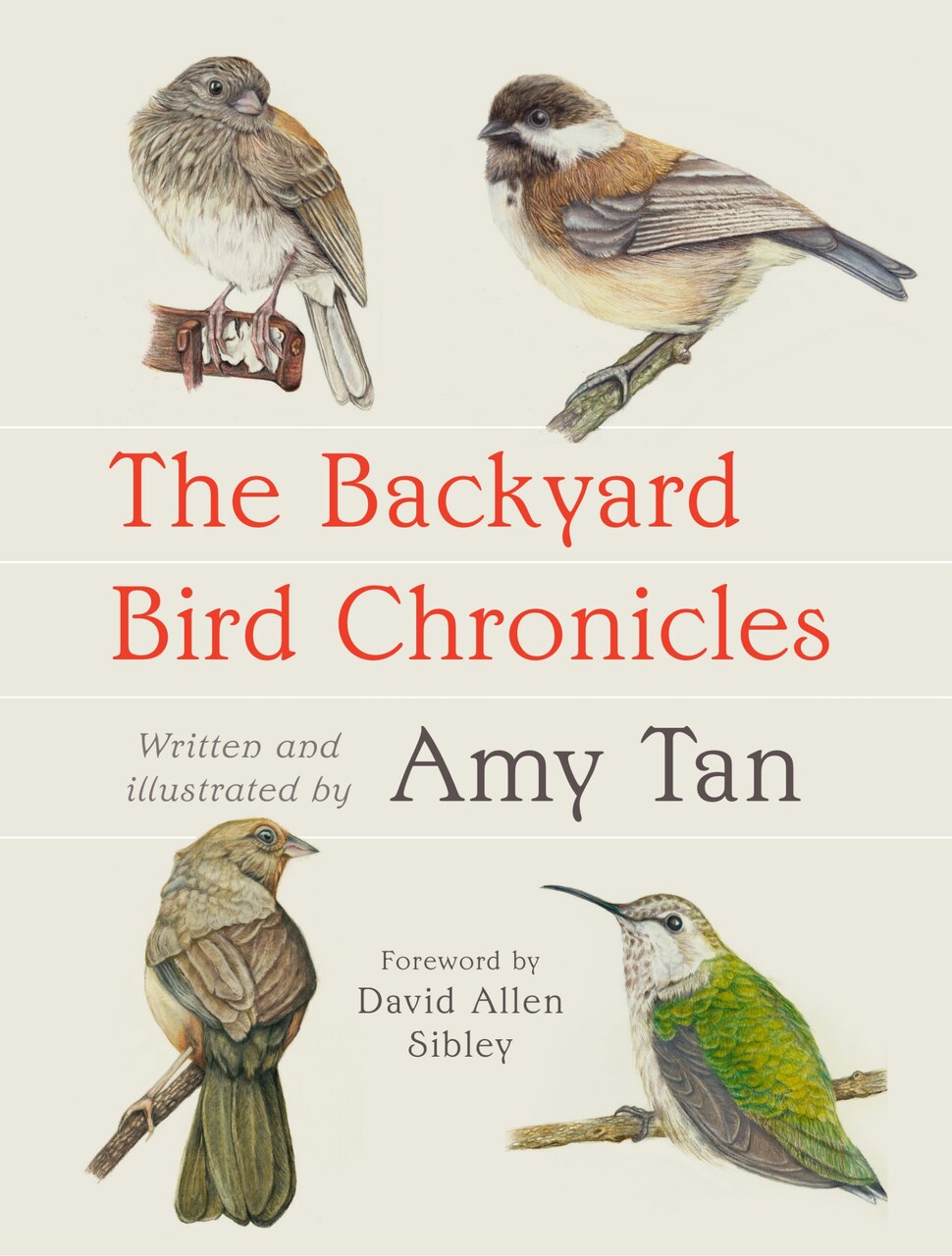 The Backyard Bird Chronicles - image 1