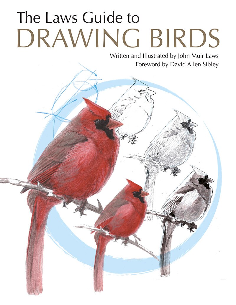 The Laws Guide to Drawing Birds by John Muir Laws, (Paperback