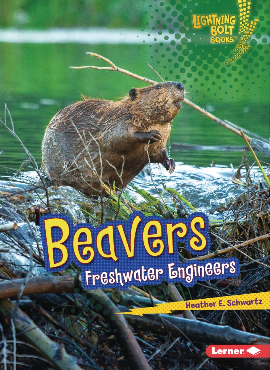 Beavers: Freshwater Engineers - image 1