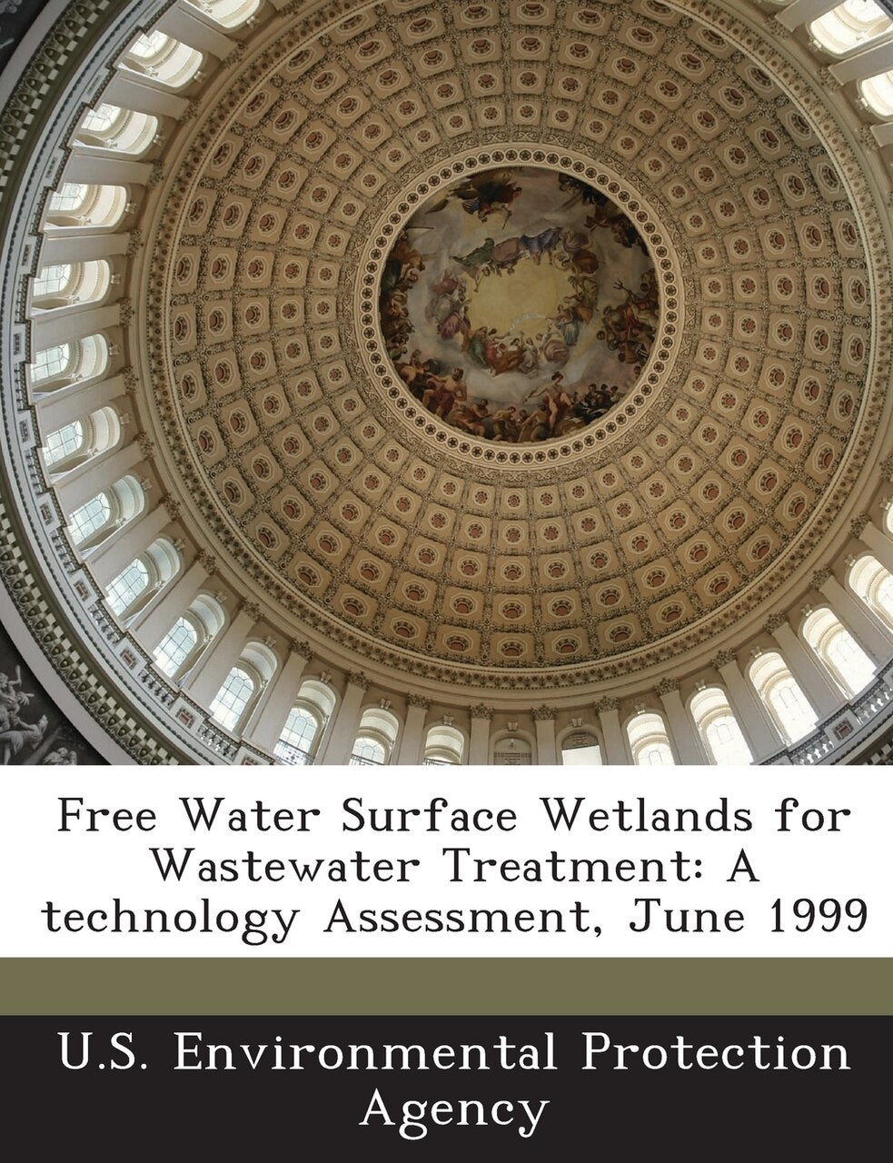Free Water Surface Wetlands for Wastewater Treatment: A Technology ...