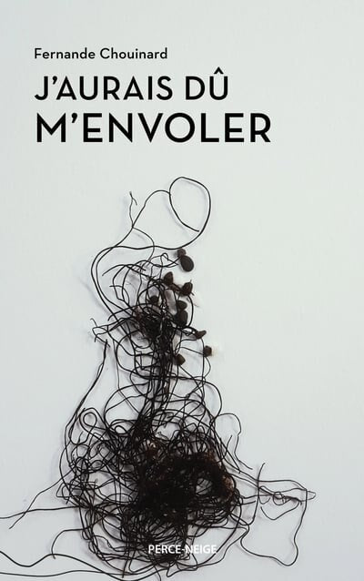 J'aurais dû m'envoler - image 1
