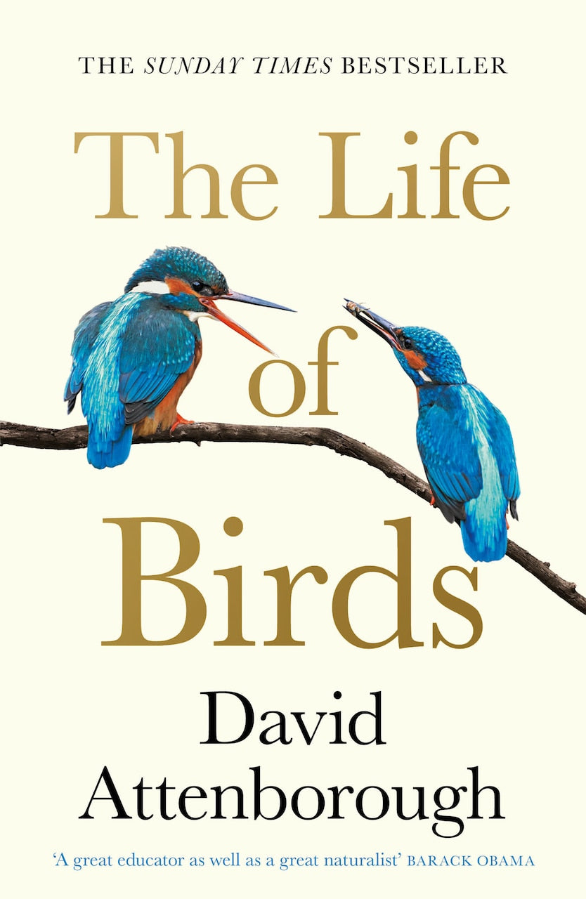 The Life of Birds by David Attenborough, (Paperback (2025)) | Indigo