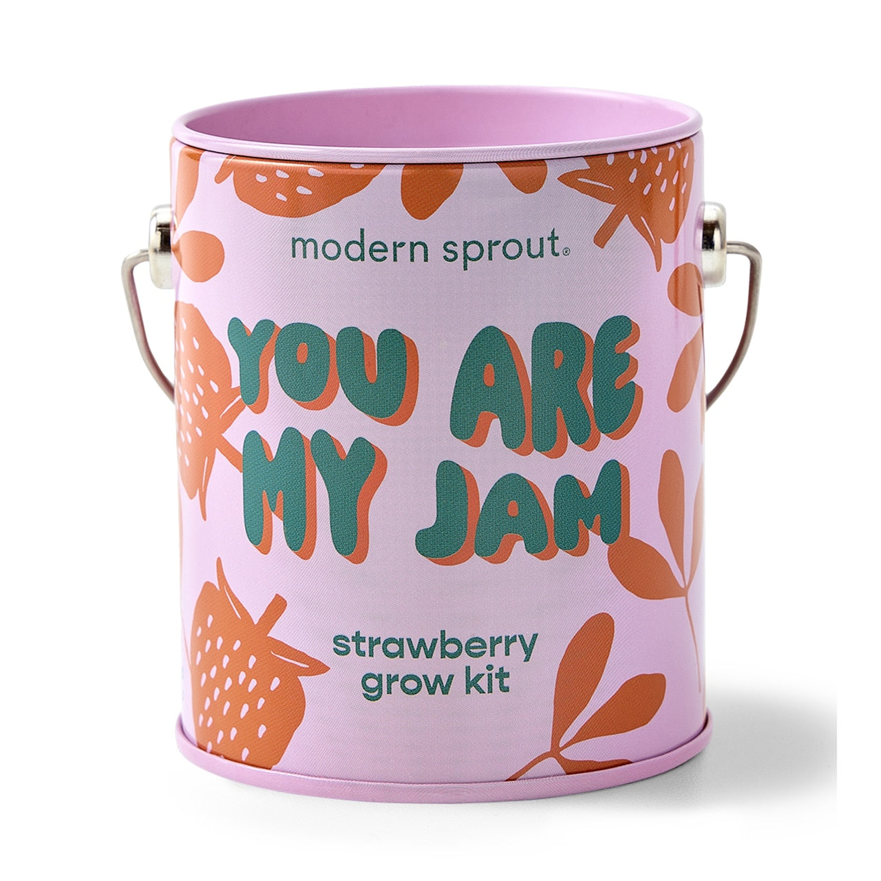 You are My Jam Grow Kit, Strawberry | Indigo