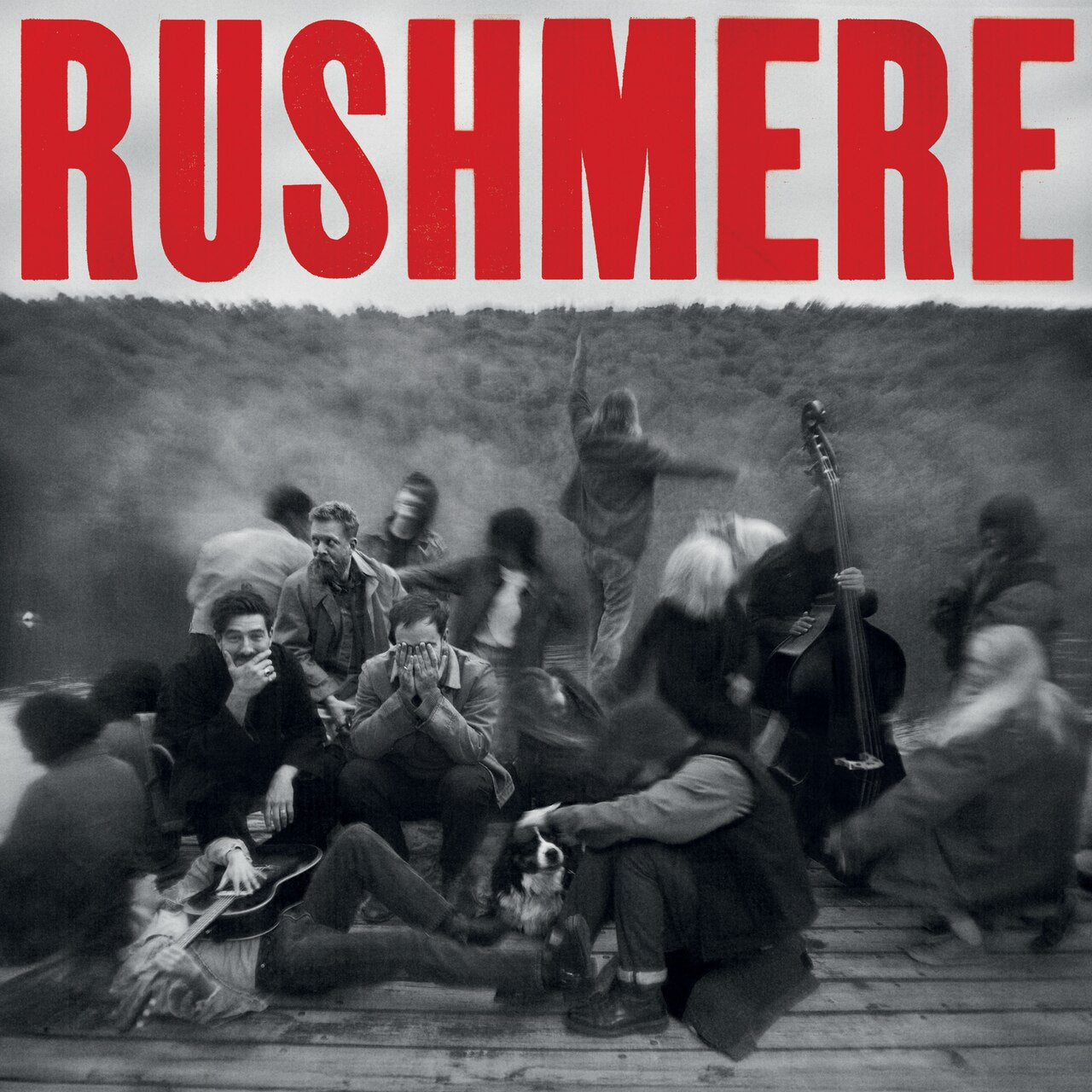 Rushmere by Mumford & Sons (1 LP) - image 1