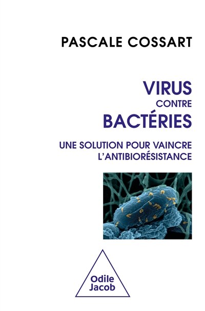Virus contre bactéries: une solution pour vaincre l'antibiorésistance - image 1