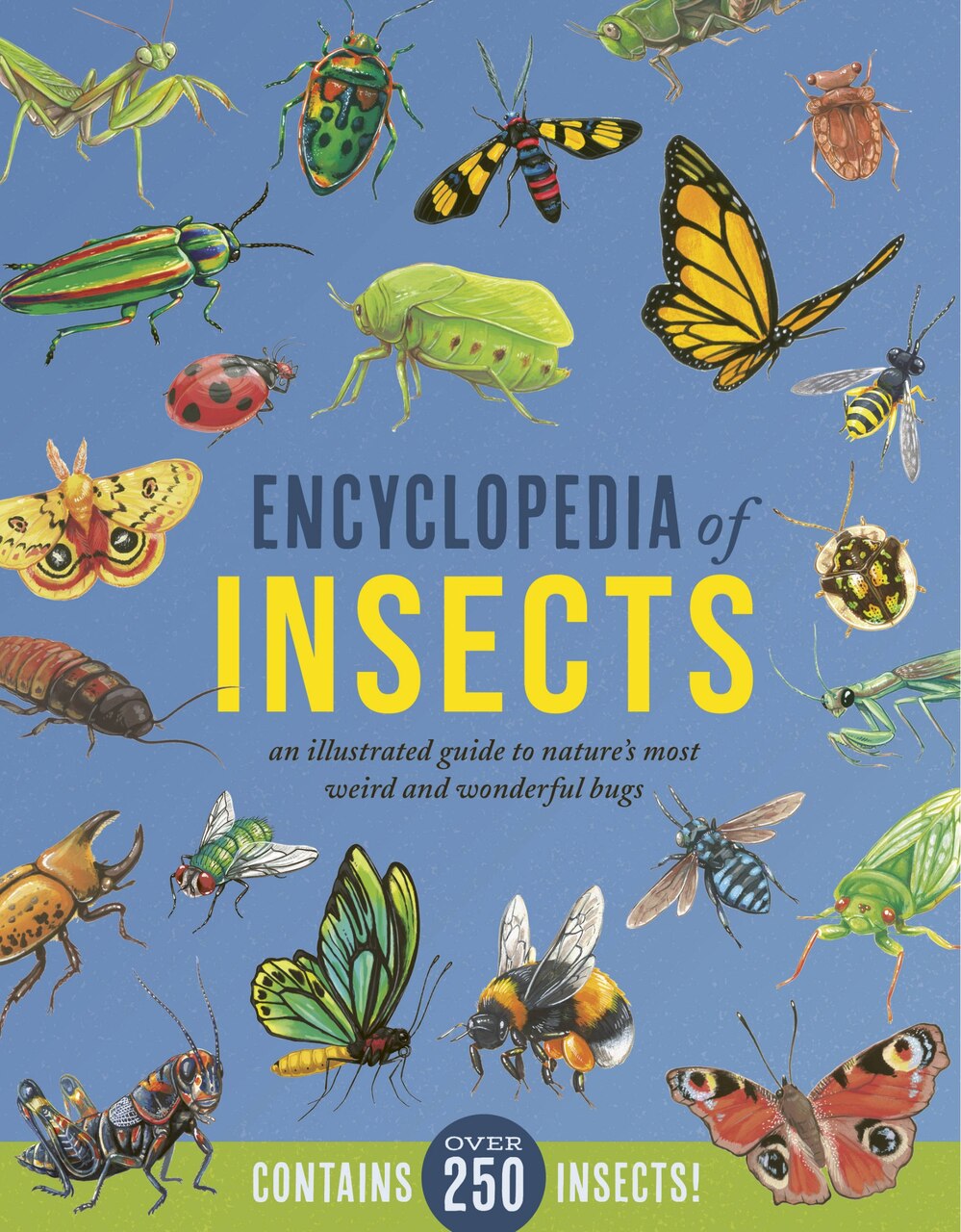 Encyclopedia of Insects: An Illustrated Guide to Nature's Most
