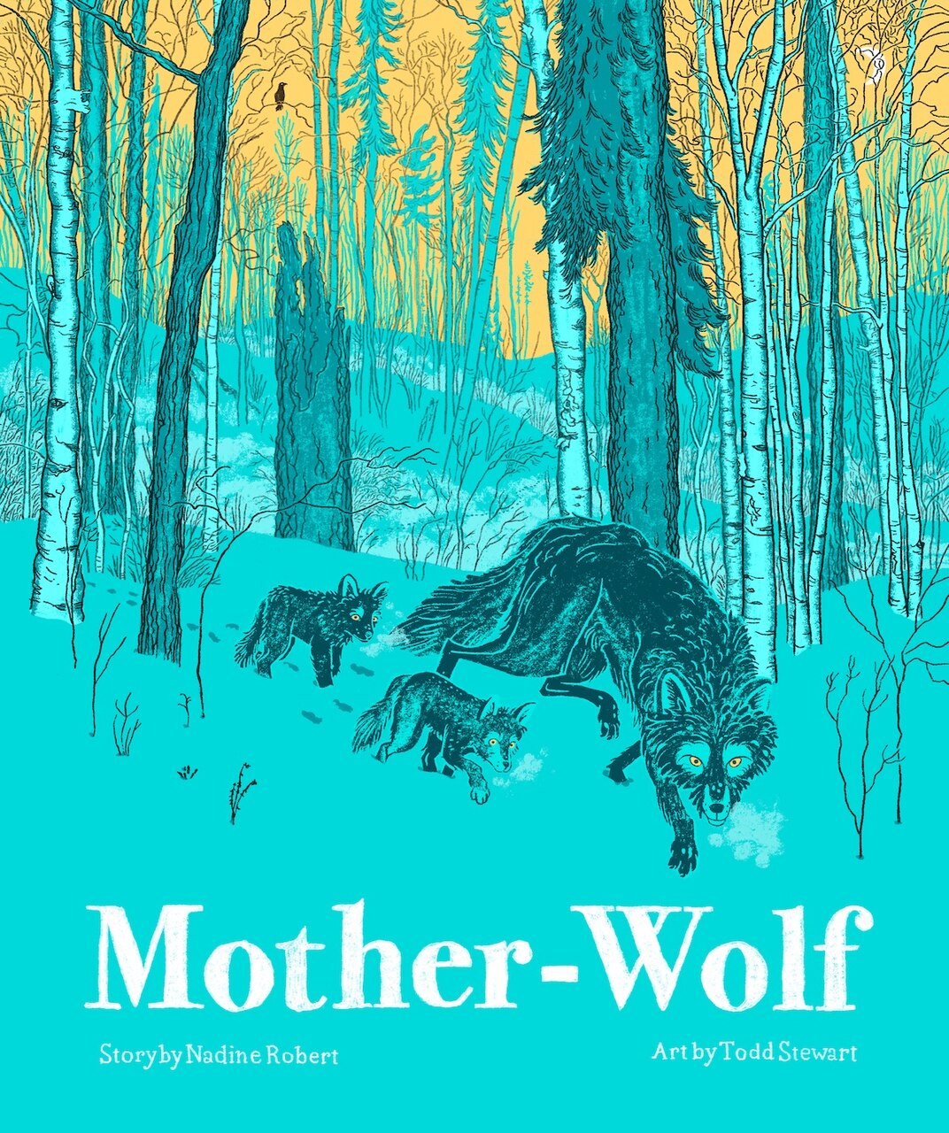 Front cover