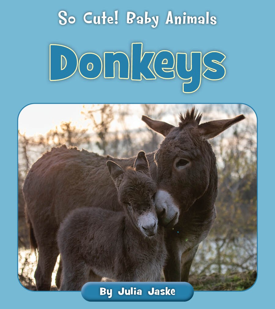 Donkeys - image 1