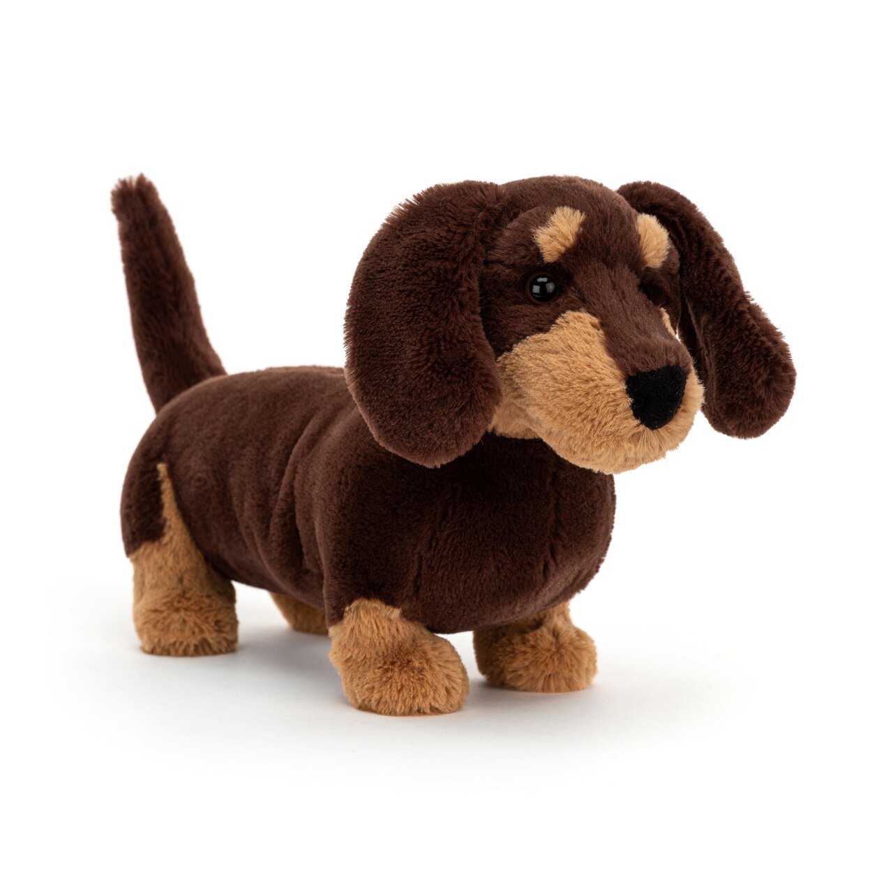 Otto Sausage Dog | Indigo