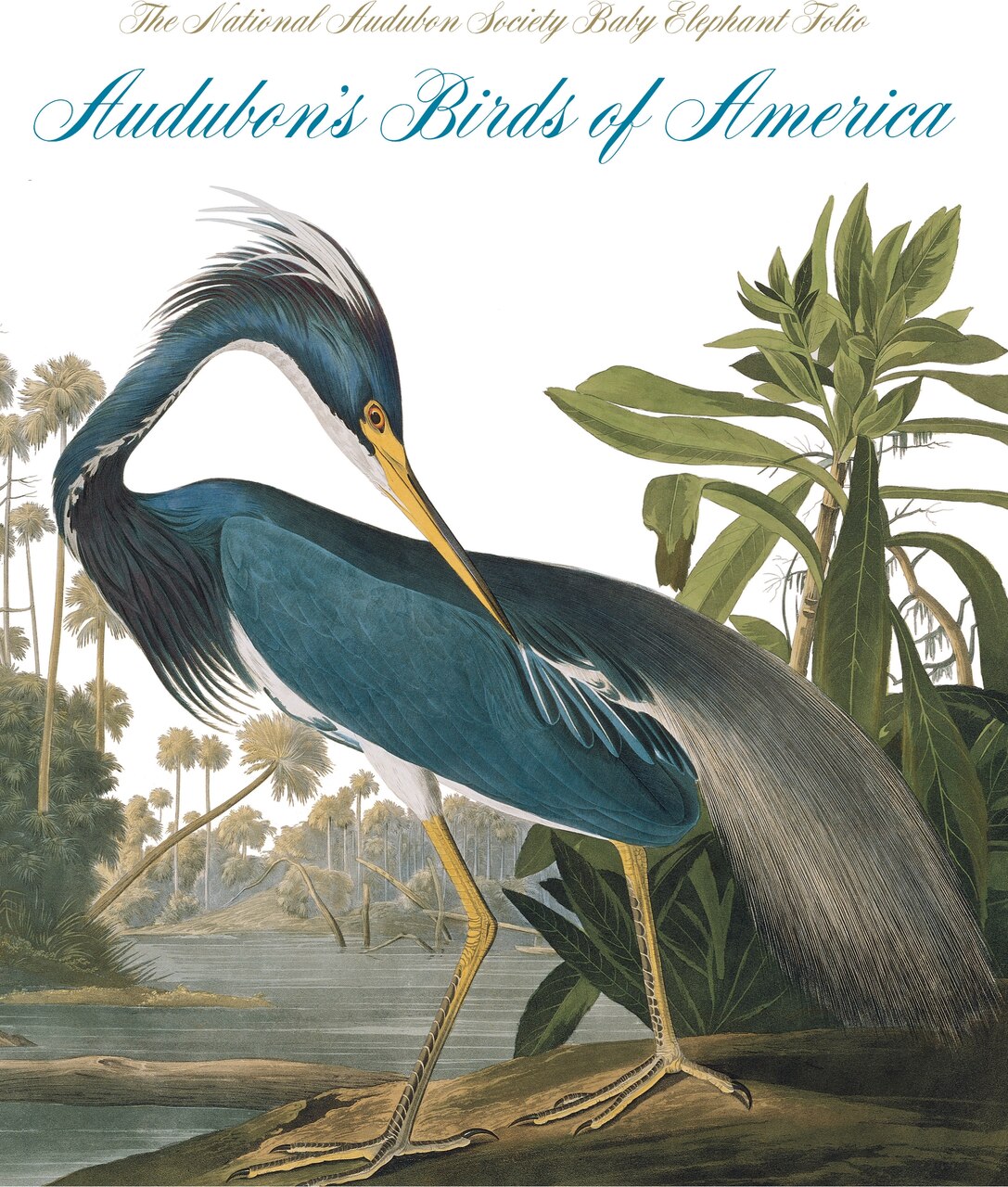 洋書　魚の図鑑　The National Audubon Society Audubon's Birds of America: The Audubon Society Baby Elephant
