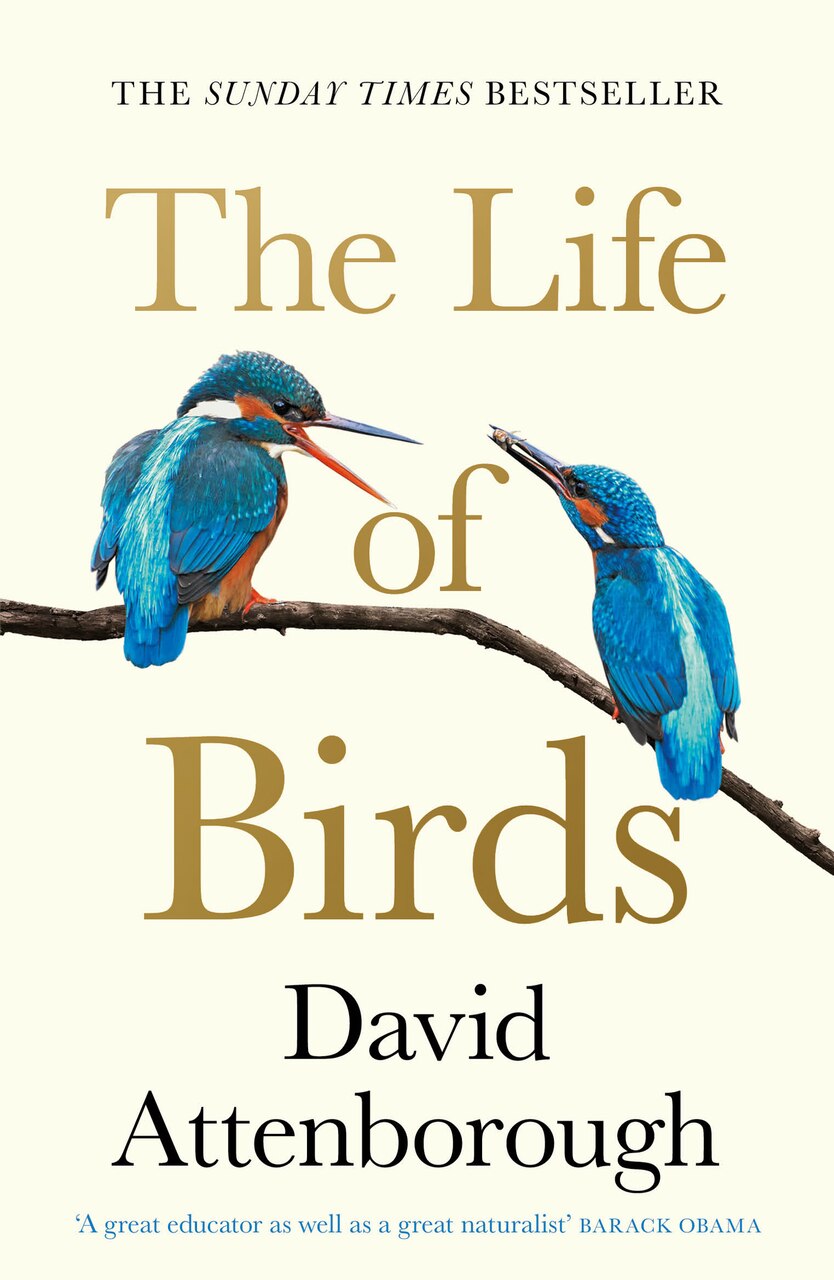 The Life of Birds by David Attenborough, (Paperback (2025)) | Indigo