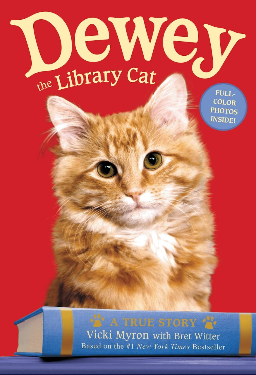 【中古】 DEWEY(A)/GRAND CENTRAL PUBLISHING (USA)/VICKI *SEE 9780316068703 MYRON Dewey The Library Cat: A True Story by Vicki Myron, (Paperback