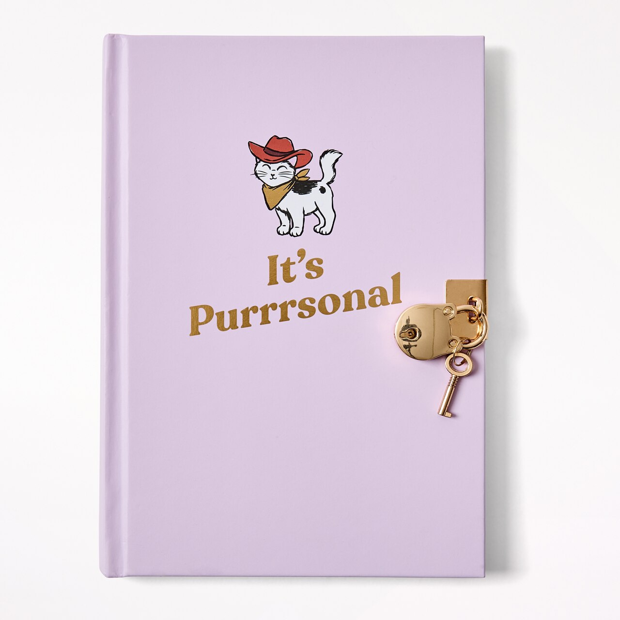 It's Purrrsonal Locked Diary - image 1