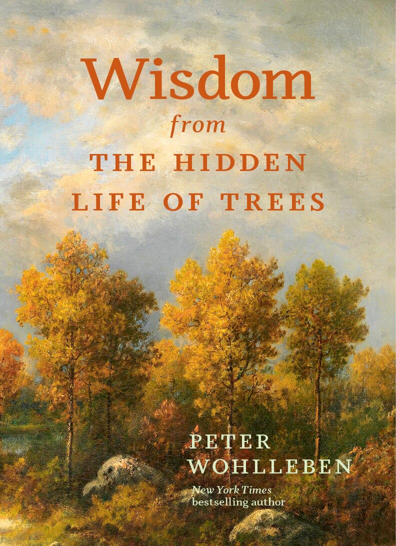 Wisdom From The Hidden Life of Trees by Peter Wohlleben