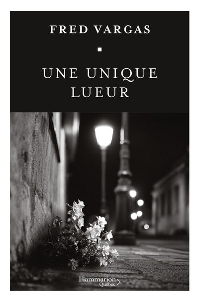 Une unique lueur - image 1