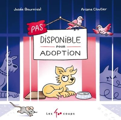 Pas disponible pour adoption - image 1