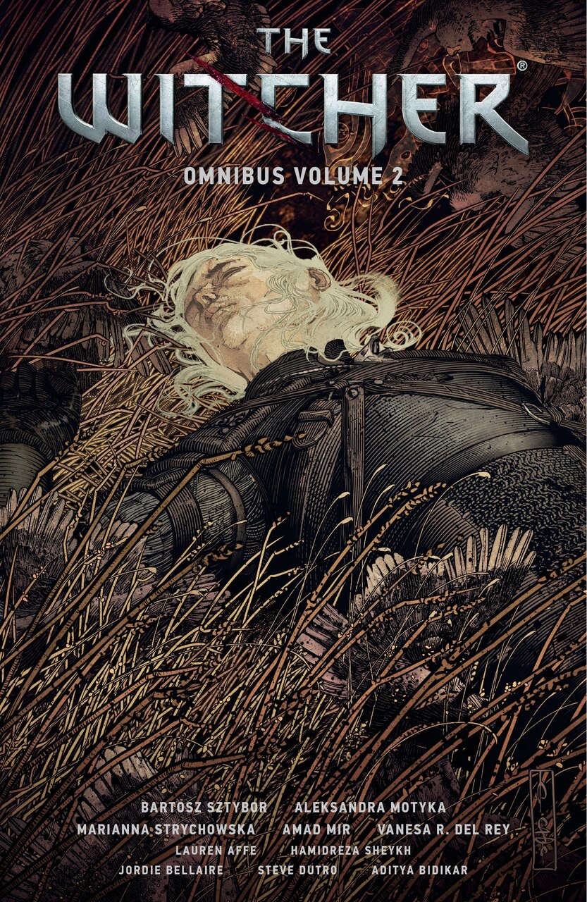 The Witcher Omnibus Volume 2 by Bartosz Sztybor, (Paperback) | Indigo